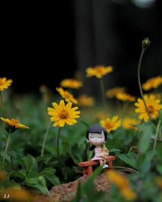 Waiting in the Blooms